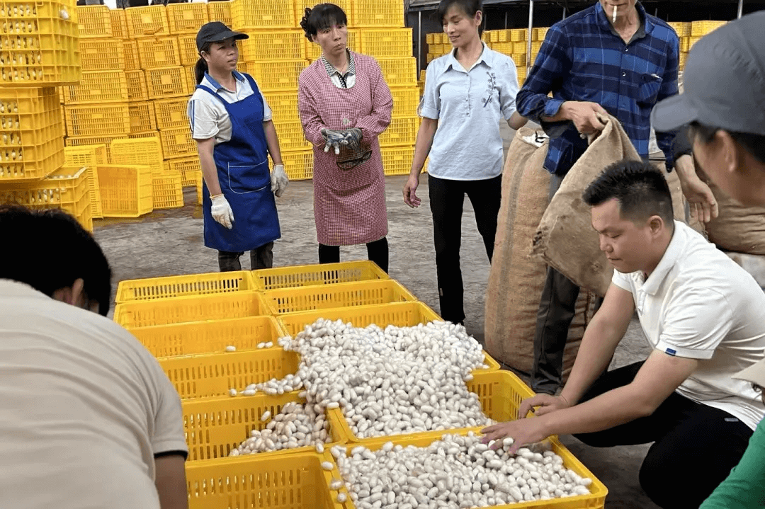 &#66;&#20307;&#32946;&#30452;&#25773;
